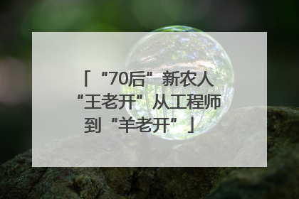 “70后”新农人“王老开”从工程师到“羊老开”