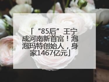 “85后”王宁成河南新首富！泡泡玛特创始人，身家1467亿元