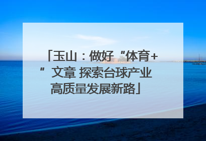玉山：做好“体育+”文章 探索台球产业高质量发展新路