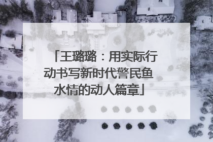 王璐璐：用实际行动书写新时代警民鱼水情的动人篇章