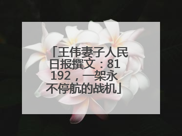 王伟妻子人民日报撰文：81192，一架永不停航的战机