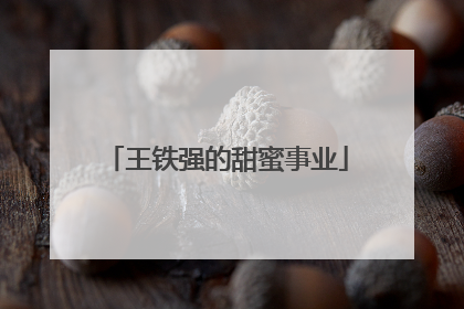 王铁强的甜蜜事业