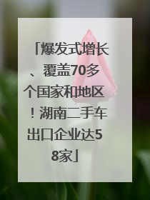 爆发式增长、覆盖70多个国家和地区！湖南二手车出口企业达58家