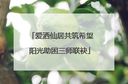 爱洒仙居共筑希望 阳光助困三师联袂