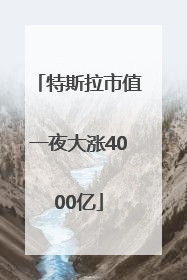 特斯拉市值一夜大涨4000亿