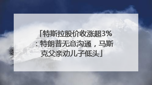 特斯拉股价收涨超3%：特朗普无意沟通，马斯克父亲劝儿子低头