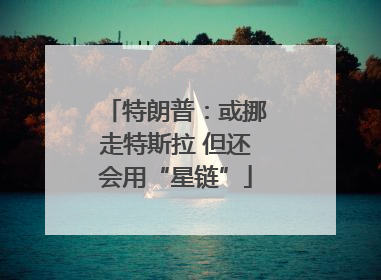 特朗普：或挪走特斯拉 但还会用“星链”