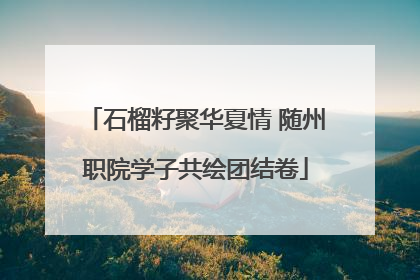 石榴籽聚华夏情 随州职院学子共绘团结卷