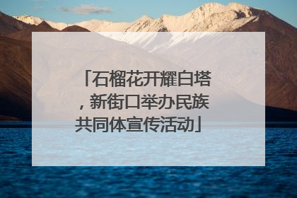 石榴花开耀白塔，新街口举办民族共同体宣传活动