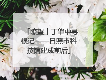 瞭望丨丁肇中寻根记——日照市科技馆建成前后