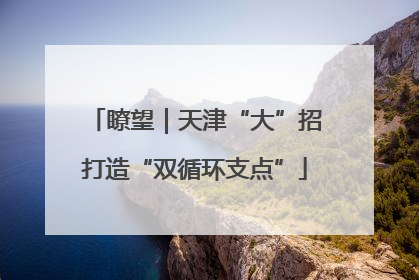 瞭望｜天津“大”招打造“双循环支点”