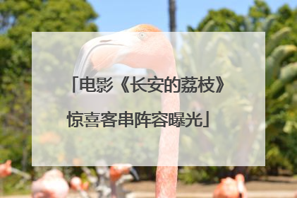 电影《长安的荔枝》惊喜客串阵容曝光