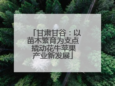 甘肃甘谷：以苗木繁育为支点 撬动花牛苹果产业新发展