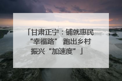 甘肃正宁：铺就惠民“幸福路” 跑出乡村振兴“加速度”