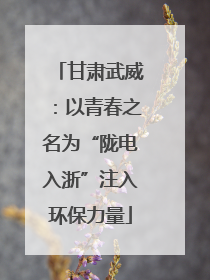 甘肃武威：以青春之名为“陇电入浙”注入环保力量