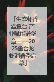 生态虾香溢鱼台 产业赋能谱华章——2025鱼台龙虾消费季启幕
