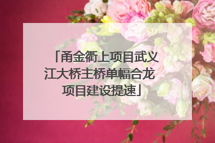 甬金衢上项目武义江大桥主桥单幅合龙 项目建设提速