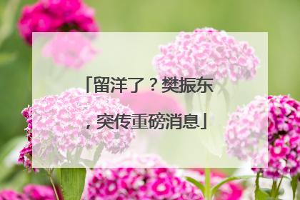 留洋了？樊振东，突传重磅消息