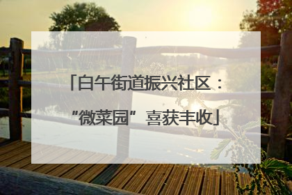 白午街道振兴社区：“微菜园”喜获丰收