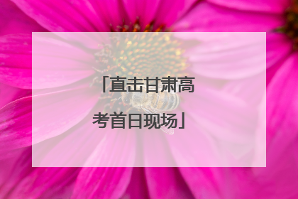 直击甘肃高考首日现场