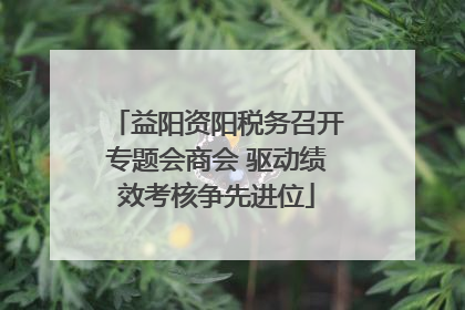 益阳资阳税务召开专题会商会 驱动绩效考核争先进位