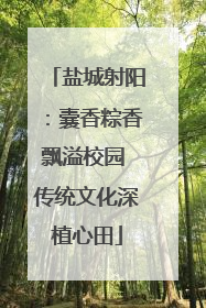 盐城射阳：囊香粽香飘溢校园 传统文化深植心田