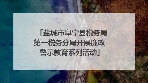 盐城市阜宁县税务局第一税务分局开展廉政警示教育系列活动