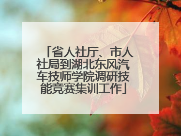省人社厅、市人社局到湖北东风汽车技师学院调研技能竞赛集训工作