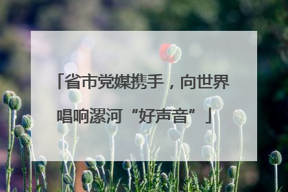 省市党媒携手，向世界唱响漯河“好声音”
