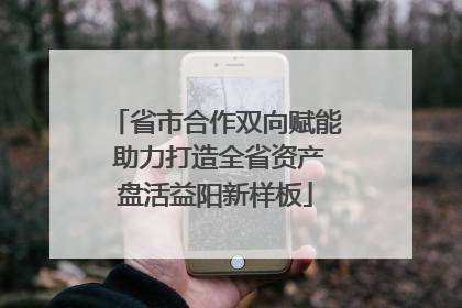 省市合作双向赋能 助力打造全省资产盘活益阳新样板