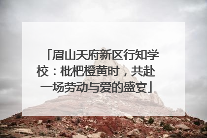 眉山天府新区行知学校：枇杷橙黄时，共赴一场劳动与爱的盛宴