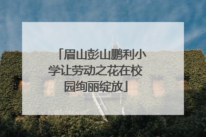 眉山彭山鹏利小学让劳动之花在校园绚丽绽放