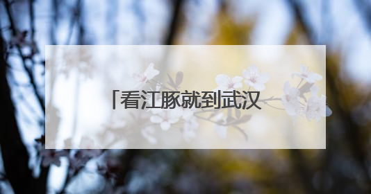 看江豚就到武汉“江豚湾”，新洲双柳打造“微笑天使”新地标