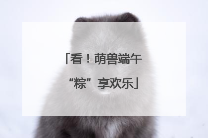 看！萌兽端午“粽”享欢乐