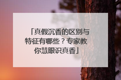 真假沉香的区别与特征有哪些？专家教你慧眼识真香