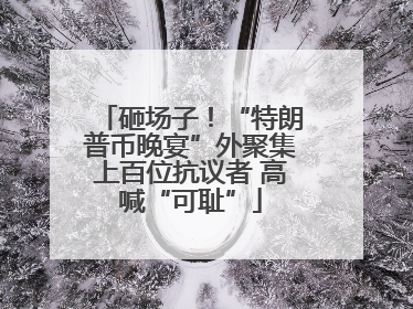 砸场子！“特朗普币晚宴”外聚集上百位抗议者 高喊“可耻”