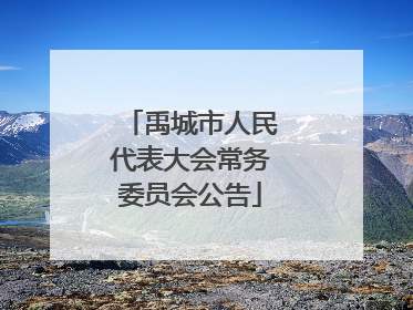 禹城市人民代表大会常务委员会公告