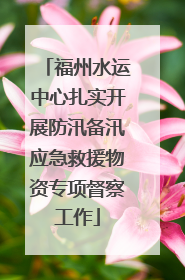福州水运中心扎实开展防汛备汛应急救援物资专项督察工作