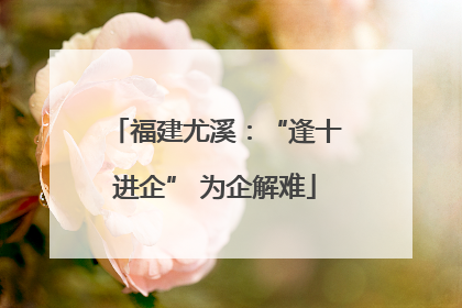 福建尤溪：“逢十进企” 为企解难