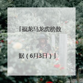 福龙马龙虎榜数据（6月3日）