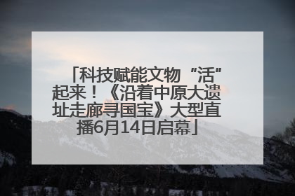 科技赋能文物“活”起来！《沿着中原大遗址走廊寻国宝》大型直播6月14日启幕