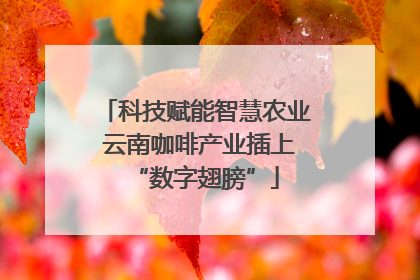 科技赋能智慧农业 云南咖啡产业插上“数字翅膀”