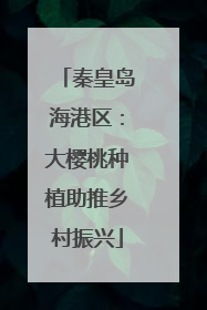 秦皇岛海港区：大樱桃种植助推乡村振兴