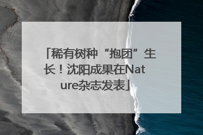 稀有树种“抱团”生长！沈阳成果在Nature杂志发表