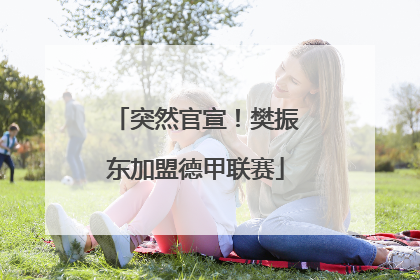突然官宣！樊振东加盟德甲联赛