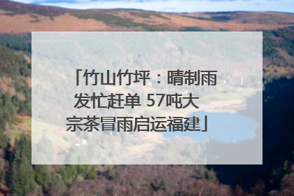 竹山竹坪：晴制雨发忙赶单 57吨大宗茶冒雨启运福建