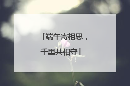 端午寄相思，千里共相守