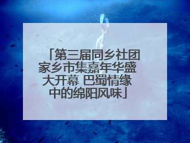 第三届同乡社团家乡市集嘉年华盛大开幕 巴蜀情缘中的绵阳风味