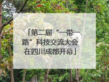 第二届“一带一路”科技交流大会在四川成都开幕