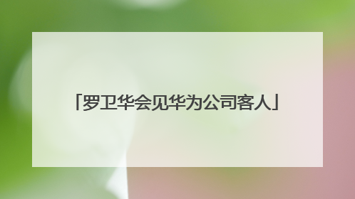 罗卫华会见华为公司客人